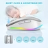 Seenda rechargeable wireless RGB Mouse with Jiggler function, silver/white, USB