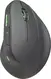 Speedlink Piavo Pro vertical wireless Mouse Rubber Black, black, USB