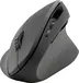 Speedlink Piavo wireless vertical Mouse black, rubberized, USB