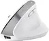 Trust Bayo+ Multidevice Ergonomic wireless Mouse white, ECO certified, USB/Bluetooth