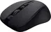 Trust Mydo Silent wireless Mouse black, ECO certified, USB