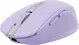 Trust Ozaa Compact wireless Mouse purple, USB/Bluetooth