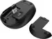 Trust TM-200 wireless Mouse black, USB