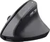Trust TM-270 Ergonomic wireless Mouse black, USB