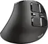 Trust Voxx rechargeable Ergonomic wireless Mouse, USB/Bluetooth