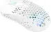 Xtrfy M42 wireless white, USB