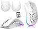 Ziyou long D19 RGB Gaming Mouse white, USB