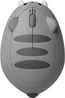 Akko x Waigua Cat Theme wireless Mouse, Gray Mimo, USB