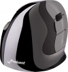 BakkerElkhuizen Evoluent D vertical mouse right wireless ...