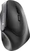 Cherry MW 4500 wireless Ergonomic Mouse, USB