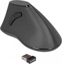 DeLOCK wireless ergonomic vertical optical noiseless 5-bu...