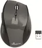 MediaRange wireless Optical 5-button Mouse, carbon-Optics...