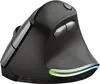 Trust Bayo wireless rechargeable Ergonomic Mouse, black/g...