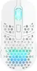 Xtrfy M42 wireless white, USB