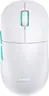 Xtrfy M8 wireless white, USB