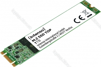 Intenso Top Performance SSD 1TB, M.2