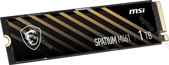 MSI Spatium M461 1TB, M.2