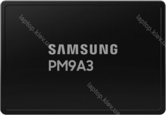 Samsung OEM Datacenter SSD PM9A3 3.84TB, U.2
