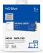 Western Digital WD Blue SA510 SSD 1TB, M.2