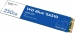 Western Digital WD Blue SA510 SSD 250GB, M.2