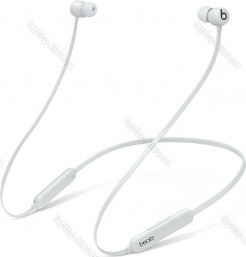 Apple Beats Flex Smoke Gray