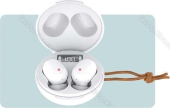 Ckmova MO2 white