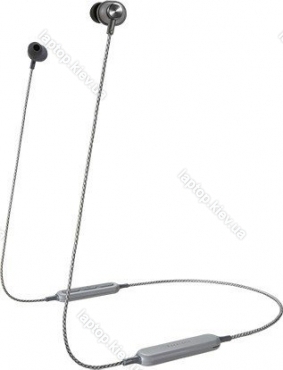 Panasonic RP-HTX20B anthracite