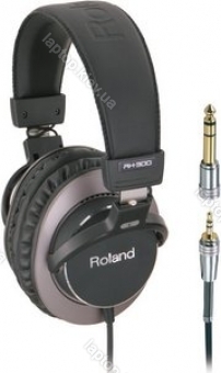 Roland RH-300