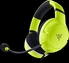 Razer Kaira X for Xbox Electric Volt Essential Duo Bundle