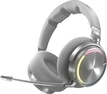 Corsair Virtuoso Max silver