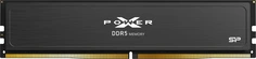 Silicon Power XPOWER Pulse Gaming UDIMM 16GB, DDR5-6400, CL32-39-39-102, X8